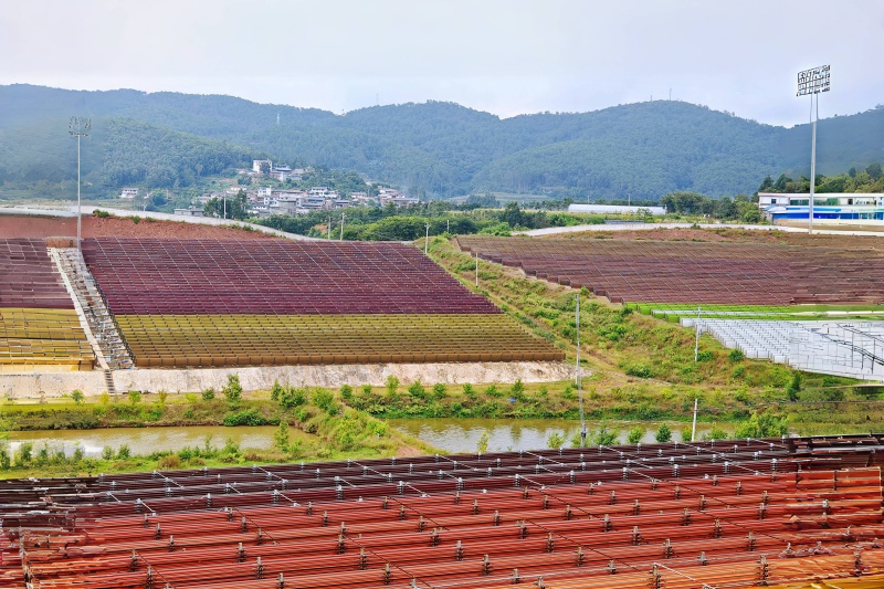 住院率破20%大關，蝦青素揭秘 '治未病'的智慧之道